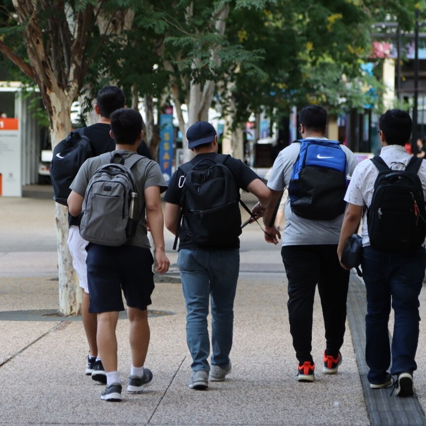a group of male students wearing backpacks walk through a uni campus away from the camera. their faces can't be seen