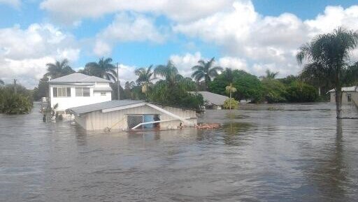 The Bundaberg magistrate described looting during a flood emergency as a despicable act.