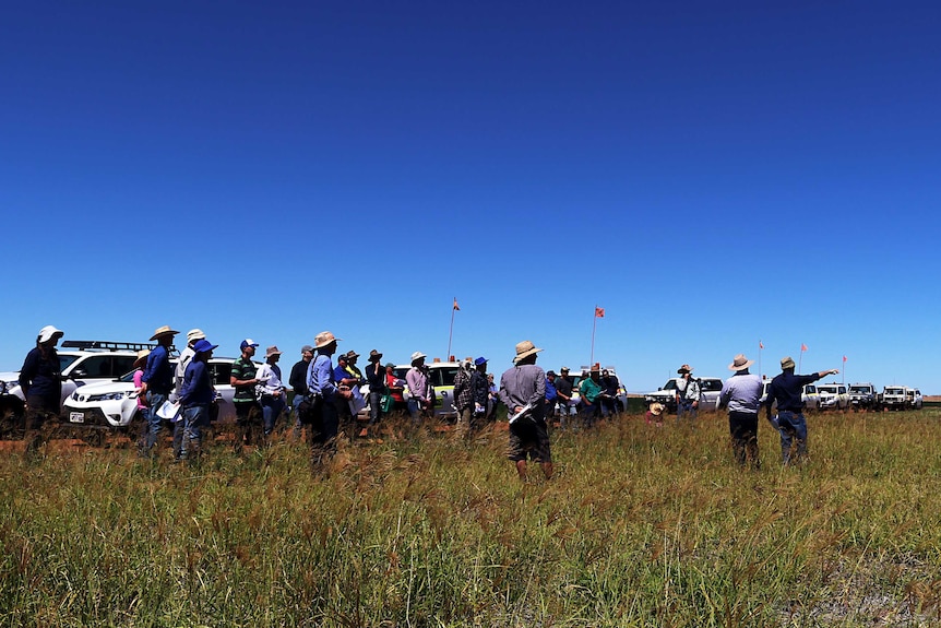 Field day participants stand on the site of a pivot irrigation trial at Woodie Woodie.