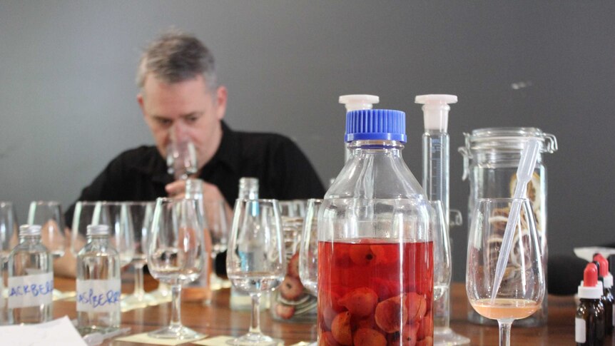 WA distiller Cameron Symes turns quandongs into gin