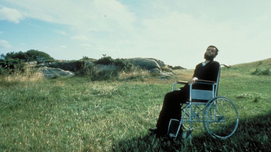 A man in a wheelchair sits on green grass in a scene from a film