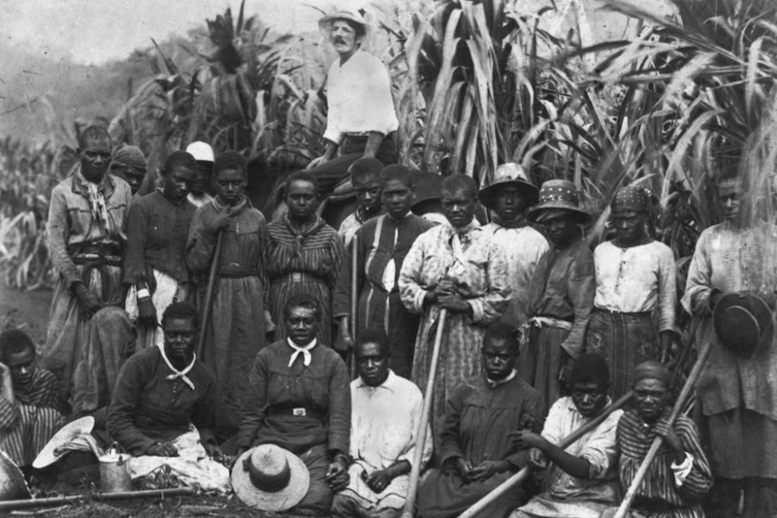 South Sea Islander farm workers on a sugar plantation. Many are carrying hoes. Their boss is sitting behind them.
