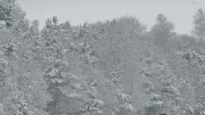 England motorists caught in snow chaos