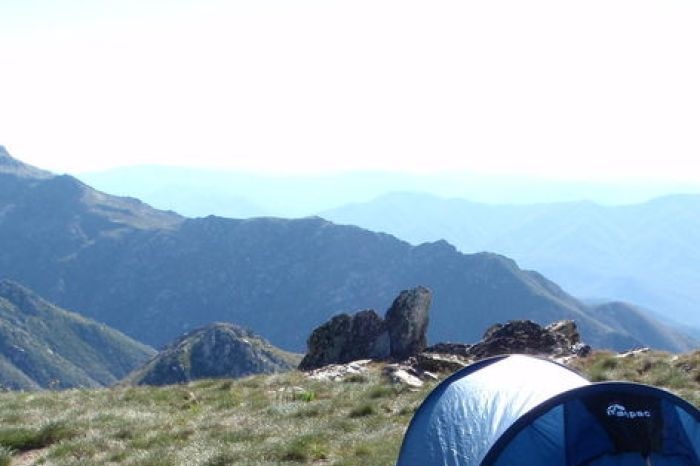 A tent sits on a slope at a New South Wales National Park.