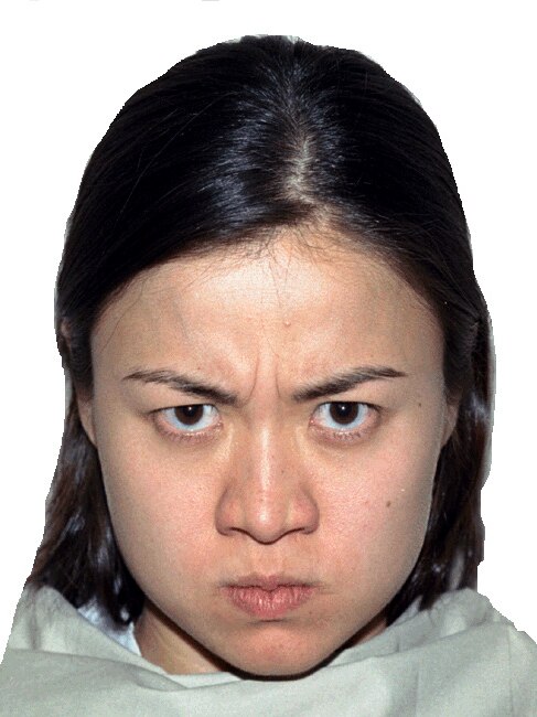 Angry face used in imaging study