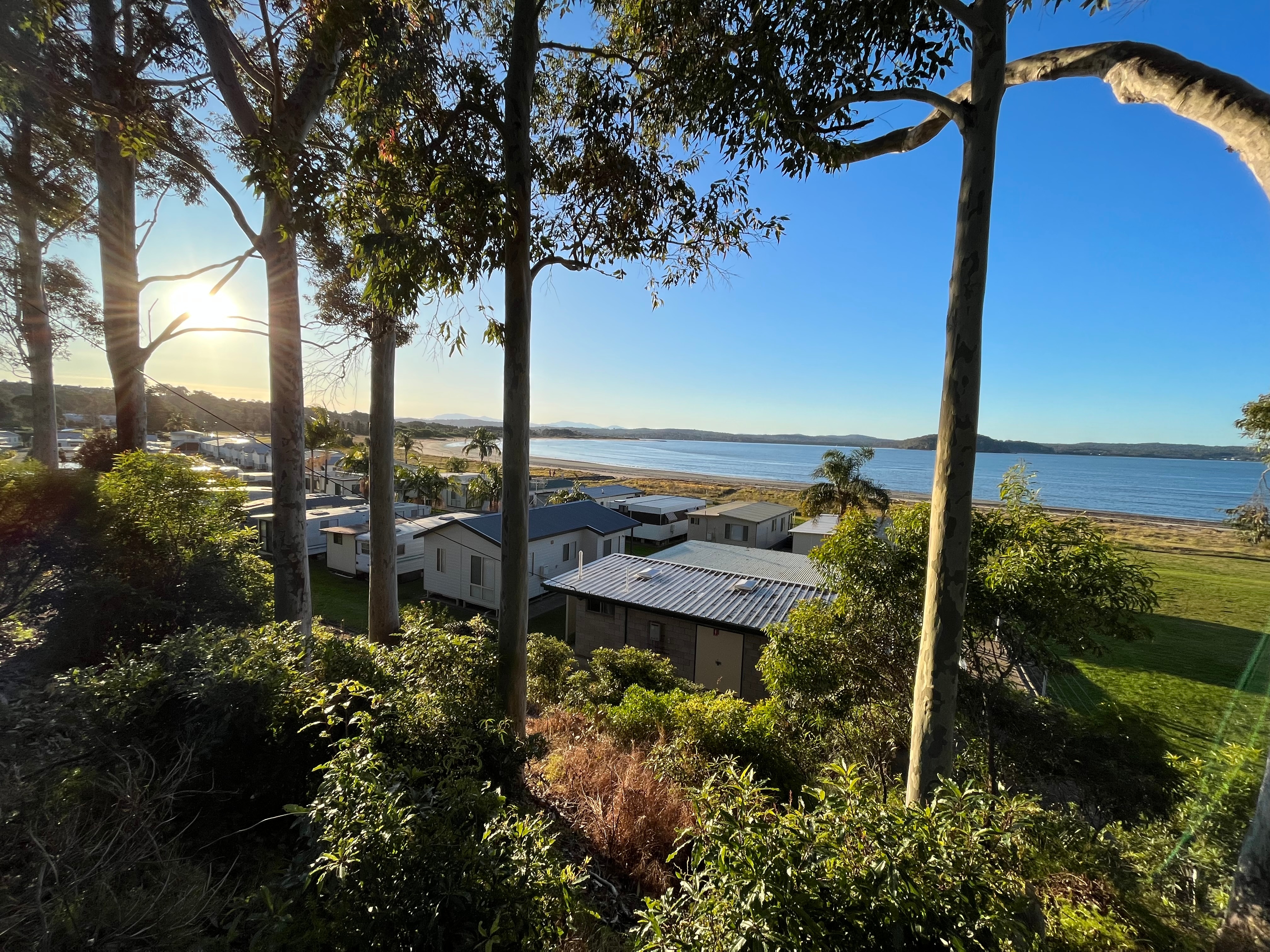 A row of houses sit in the sunshine near the blue ocean surrounded by gum trees