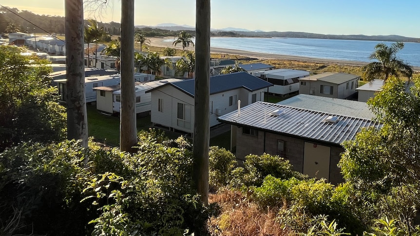 A row of houses sit in the sunshine near the blue ocean surrounded by gum trees