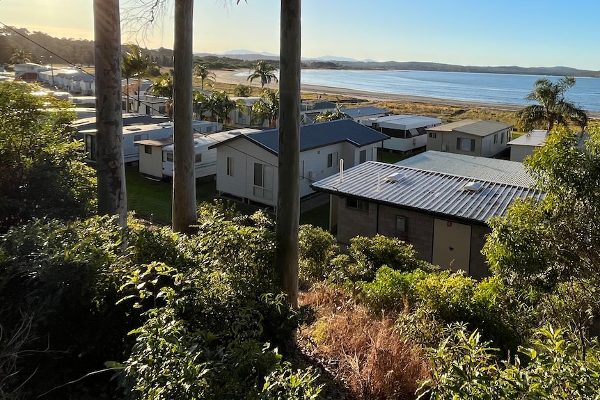 A row of houses sit in the sunshine near the blue ocean surrounded by gum trees