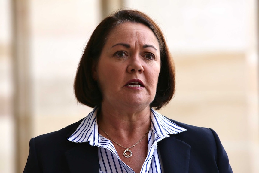 WA Opposition Leader Liza Harvey speaking outside parliament, wearing a blue jacket.