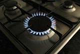 A gas burner burns on a stove