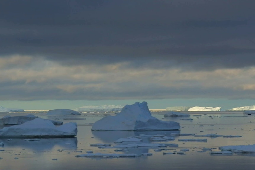 Clouds over icebergs