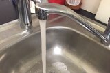 Water flows from a tap into a sink.