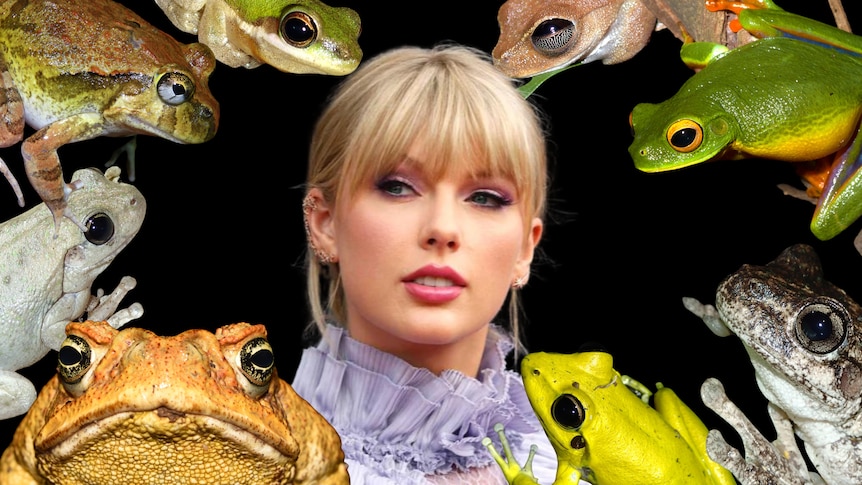 Taylor Swift and Australian frog calls make ARIA charts
