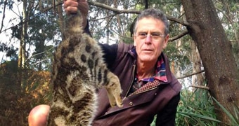 Feral cats, native animals enticed with feather boas in Tasmanian forests,  with surprising results - ABC News