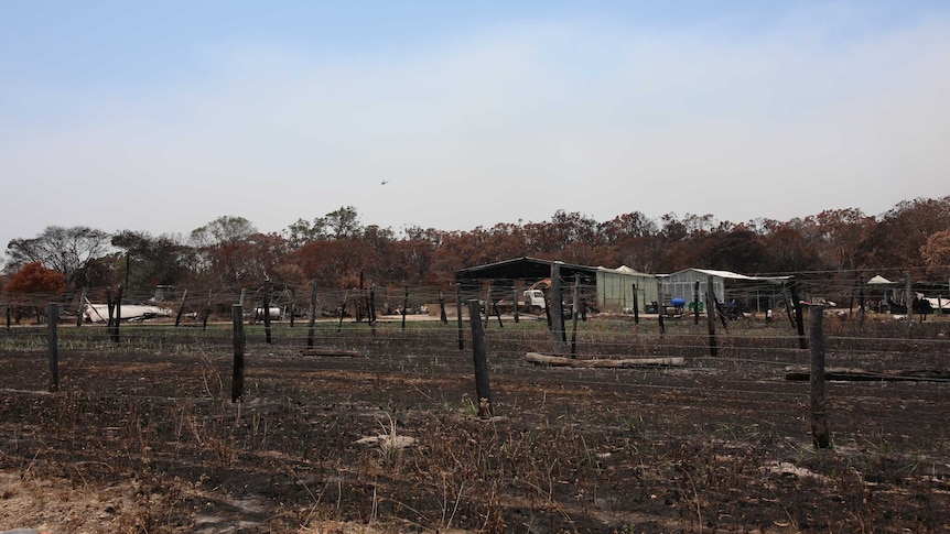 Charred remains of farmland at Deepwater