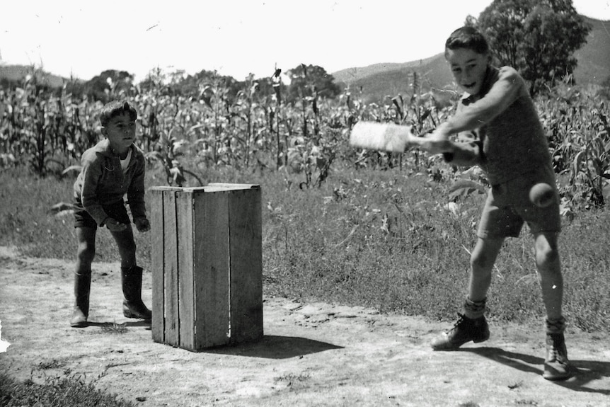 two boys playing cricket in a tobacco crop 