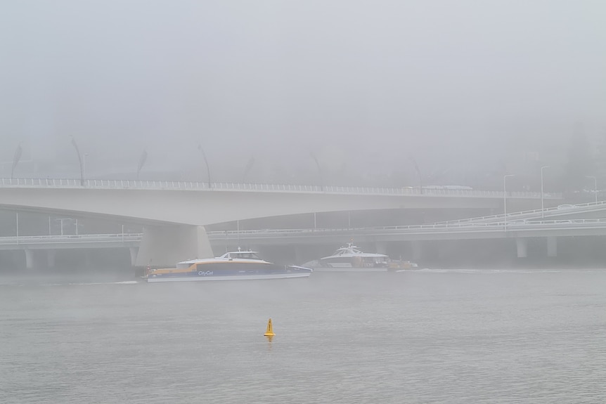 Fog blankets Brisbane river with city cats in background.