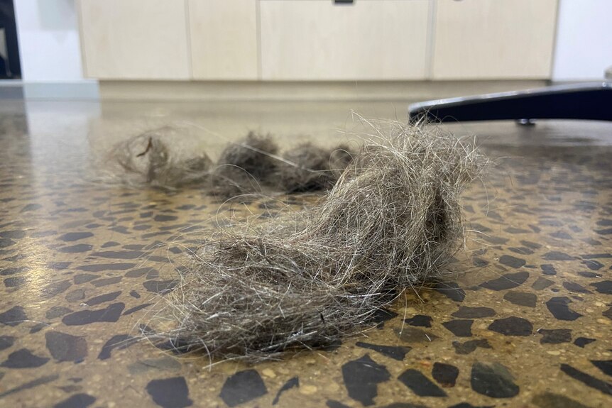a clump of hair on the floor of a salon 