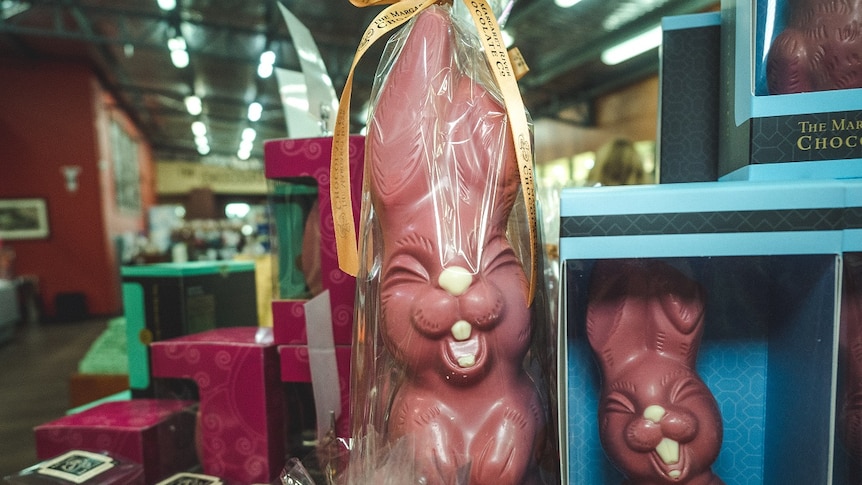 A chocolate Easter bunny on display
