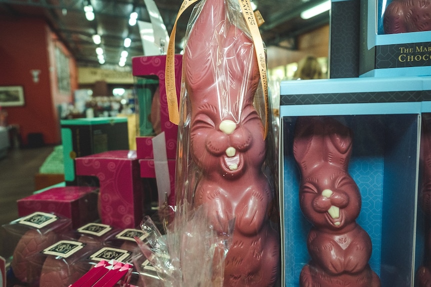 A chocolate Easter bunny on display