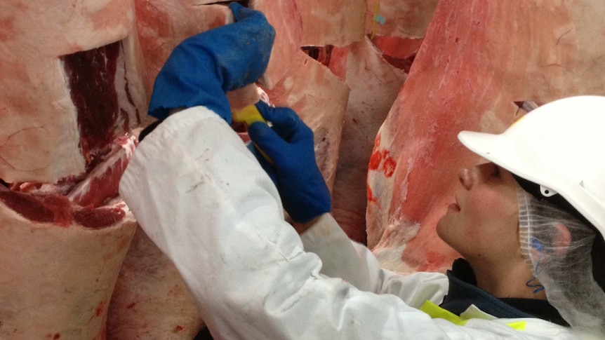 JBS Workers Longford meatworks in Tasmania