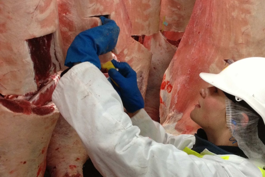 JBS Workers Longford meatworks in Tasmania