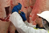JBS Workers Longford meatworks in Tasmania