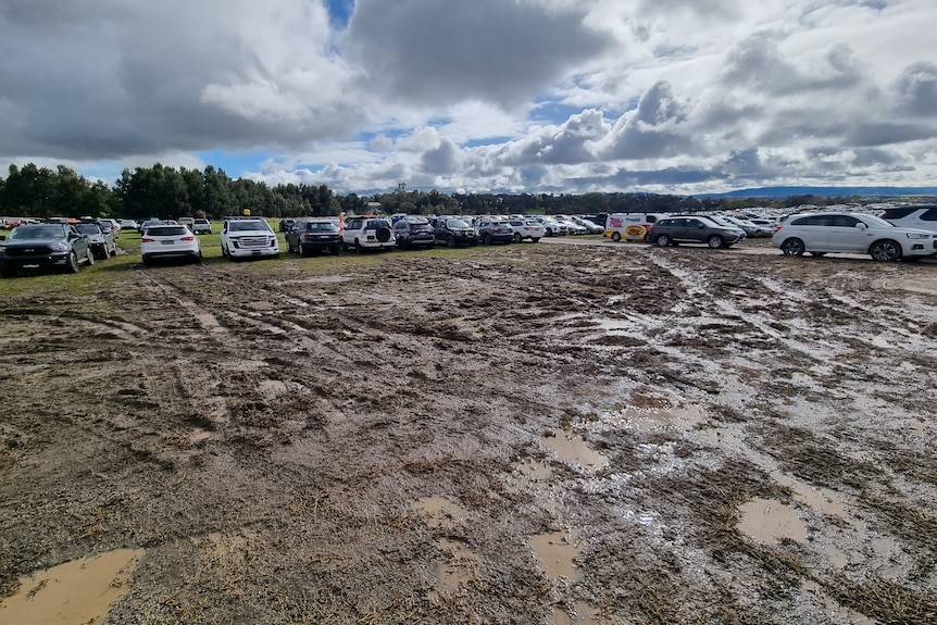 Cars lined up in a wet and muddy campground.