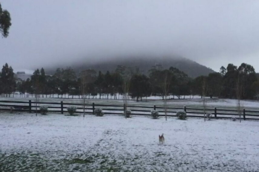 Snow on Mt Buninyong, south of Ballarat