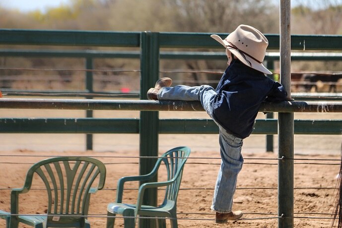 A little boy scales a fence.