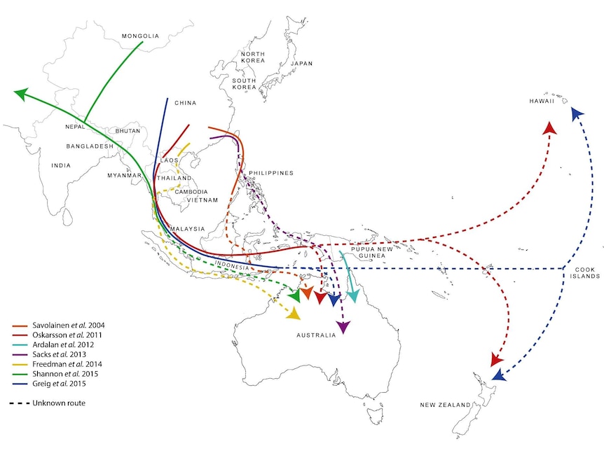 Past studies indicate these routes as possible ways dingoes travelled to Australia