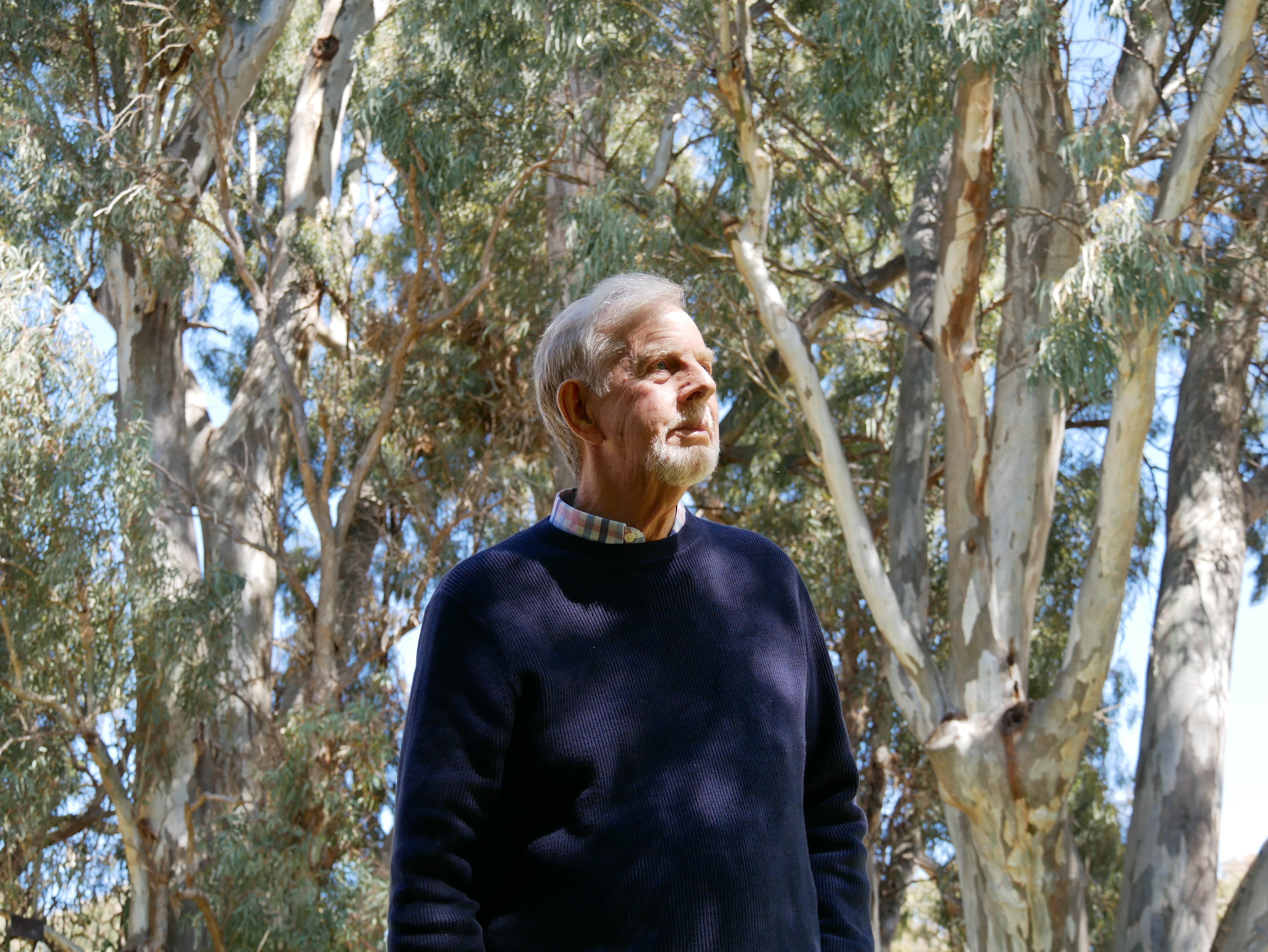 A man in his 70s stands among gumtrees on his farm in Melrose in the Flinders Rangers