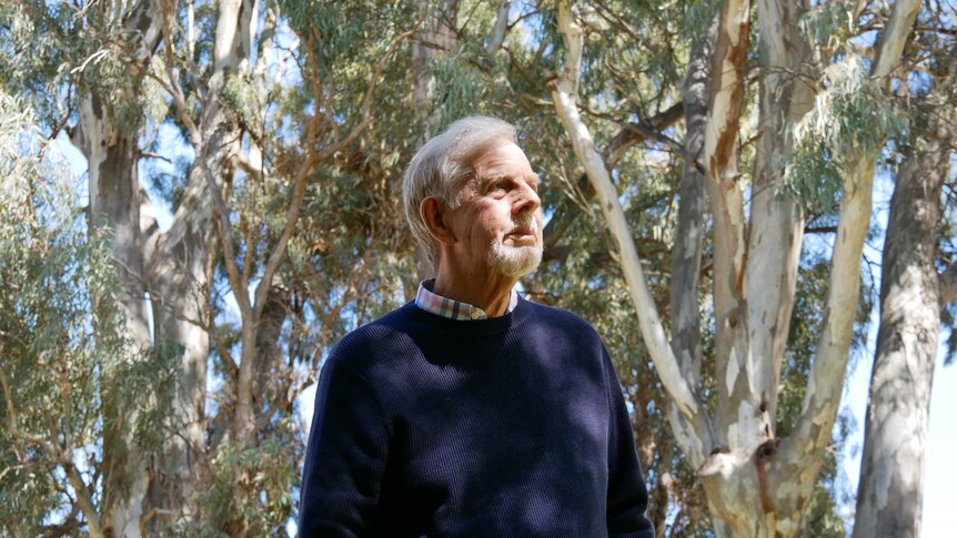 A man in his 70s stands among gumtrees on his farm in Melrose in the Flinders Rangers