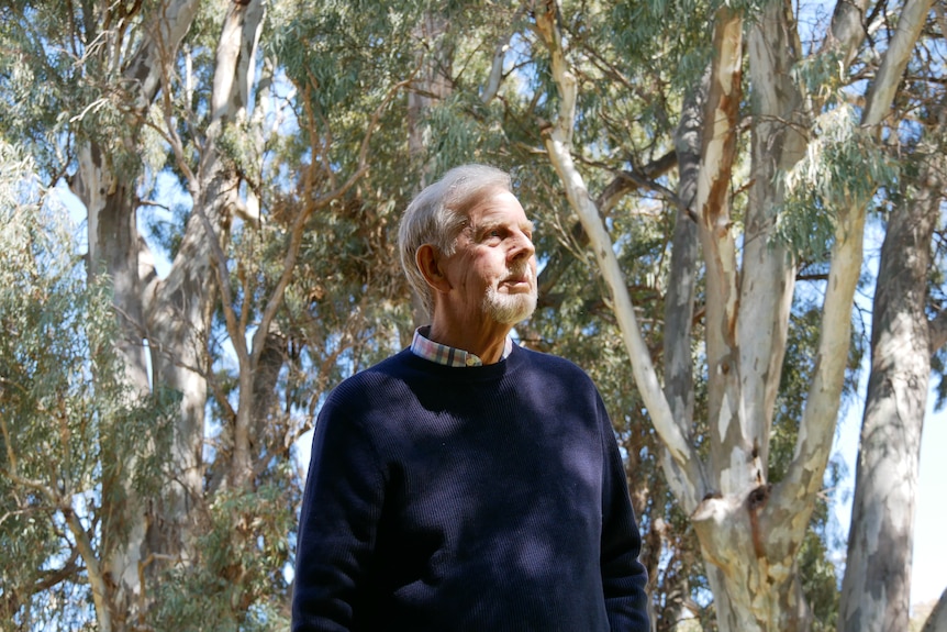 A man in his 70s stands among gumtrees on his farm in Melrose in the Flinders Rangers