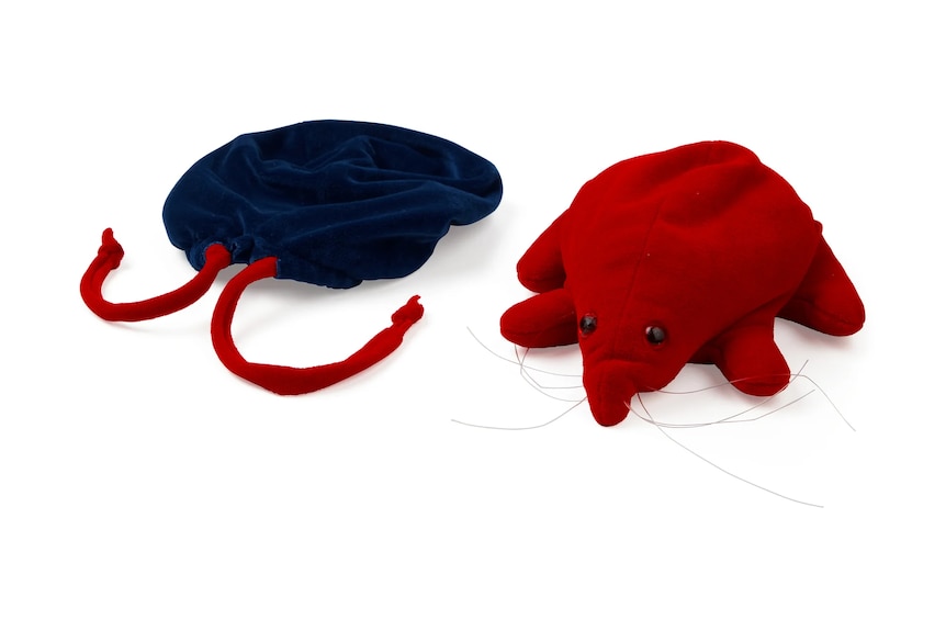 A small blue velvet bag next to a red soft toy that looks like a spineless echidna