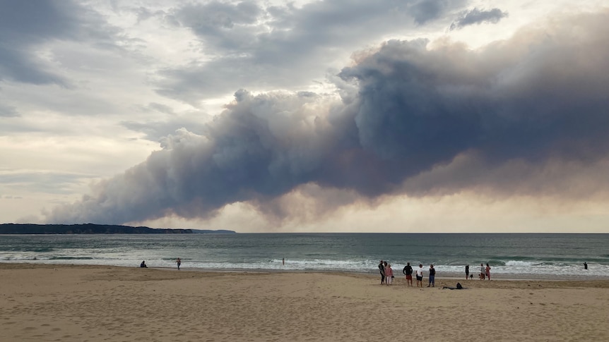 Plume of smoke over the sea and land