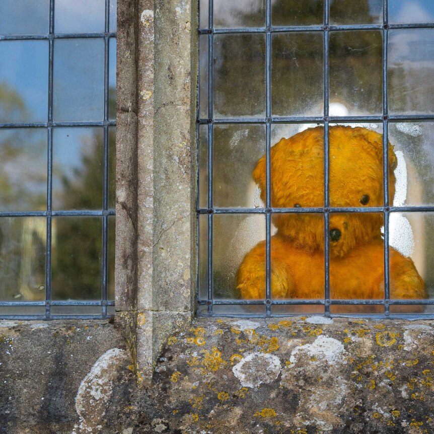 Teddy bear in a window