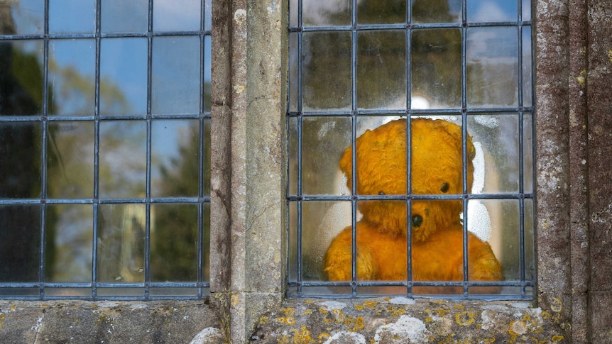 Teddy bear in a window