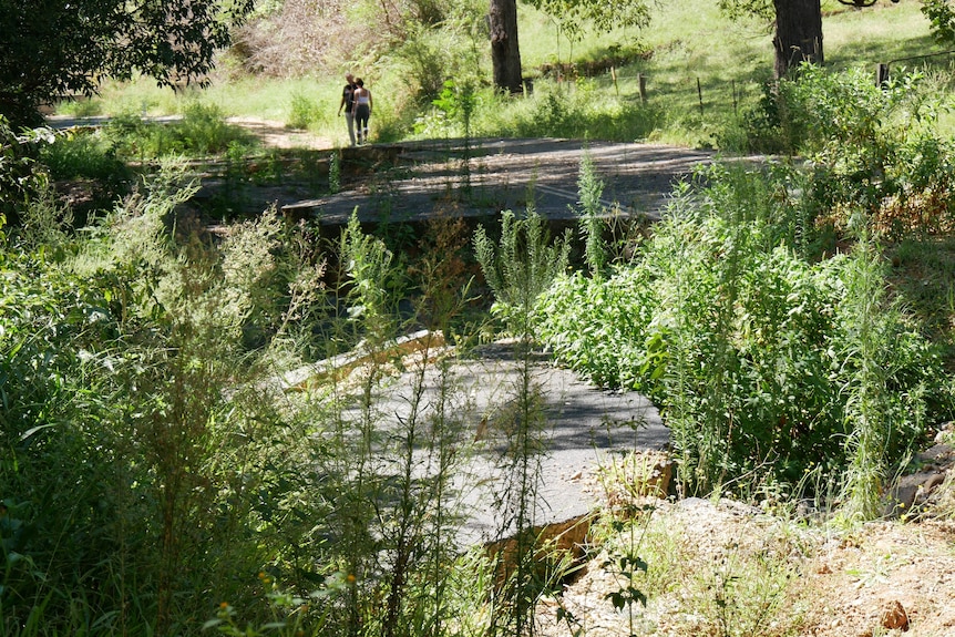 Two people walk on a road that has large holes and weeds growing over it.