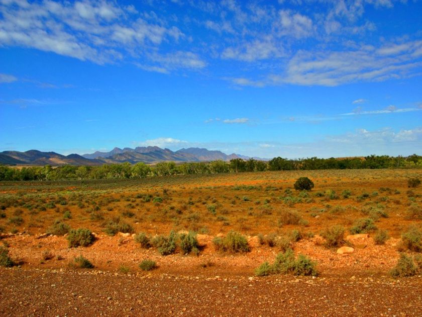 New research strategy offers hope to pastoralists battling mystery ...