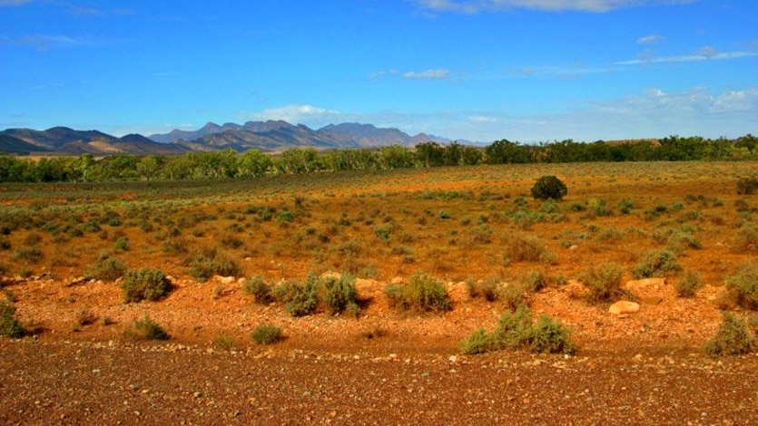 Outback SA ... 'NSW on steroids' (file photo)