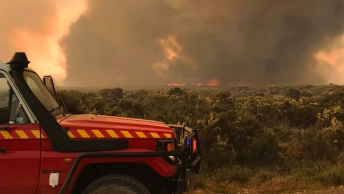 Tasmania Fire Service truck near a bushfire in Tasmania.