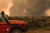 Tasmania Fire Service truck near a bushfire in Tasmania.