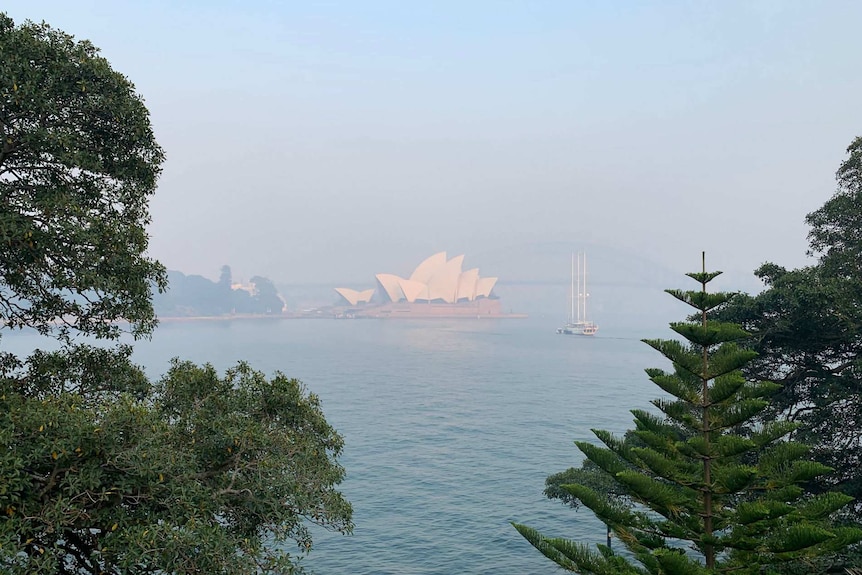 A hazy shot of the Sydney Opera House.
