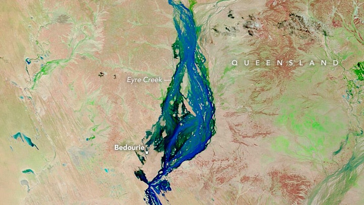 A labelled map shows a rich blue streak of water near the town of Bedourie, in western Queensland.