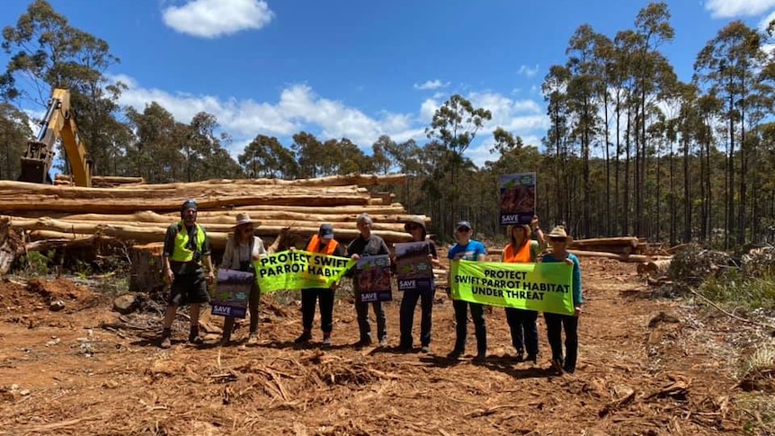 Bob Brown Foundation protesters at a logging site.