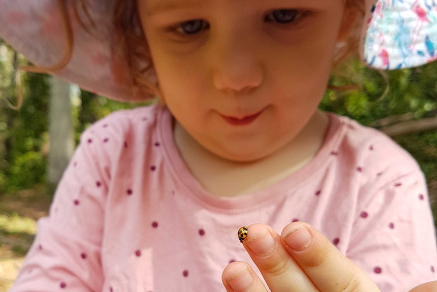A little inspects a lady beetle on her middle finger.