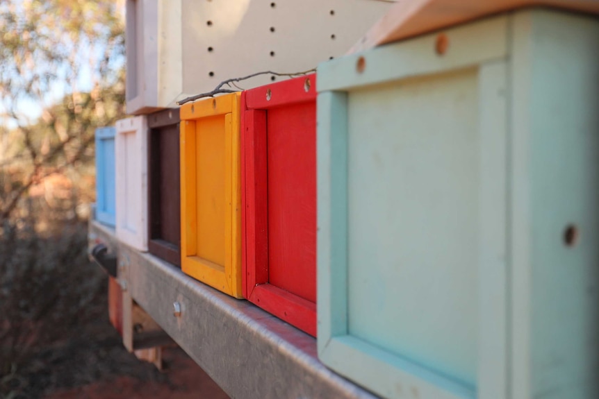 colourful wooden boxes where the bird can sleep