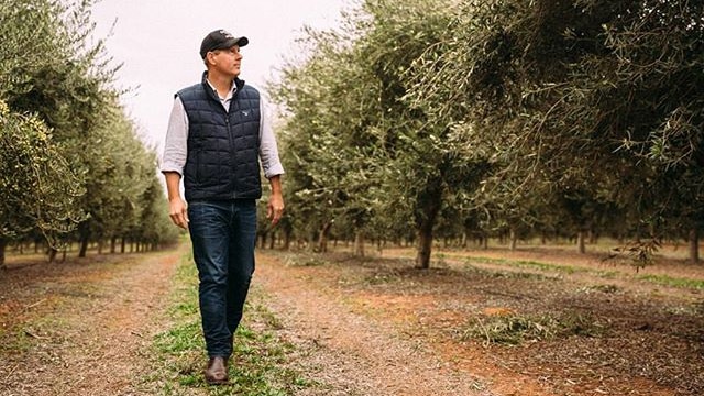 A man in a baseball cap walks through a grove of olive trees.
