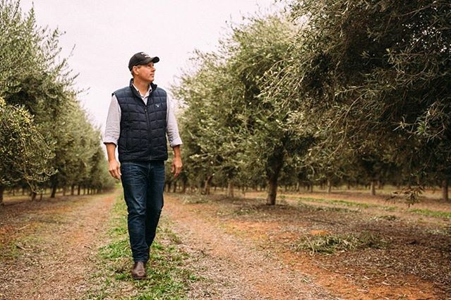 Un hombre con gorra de béisbol camina por un bosque de olivos.